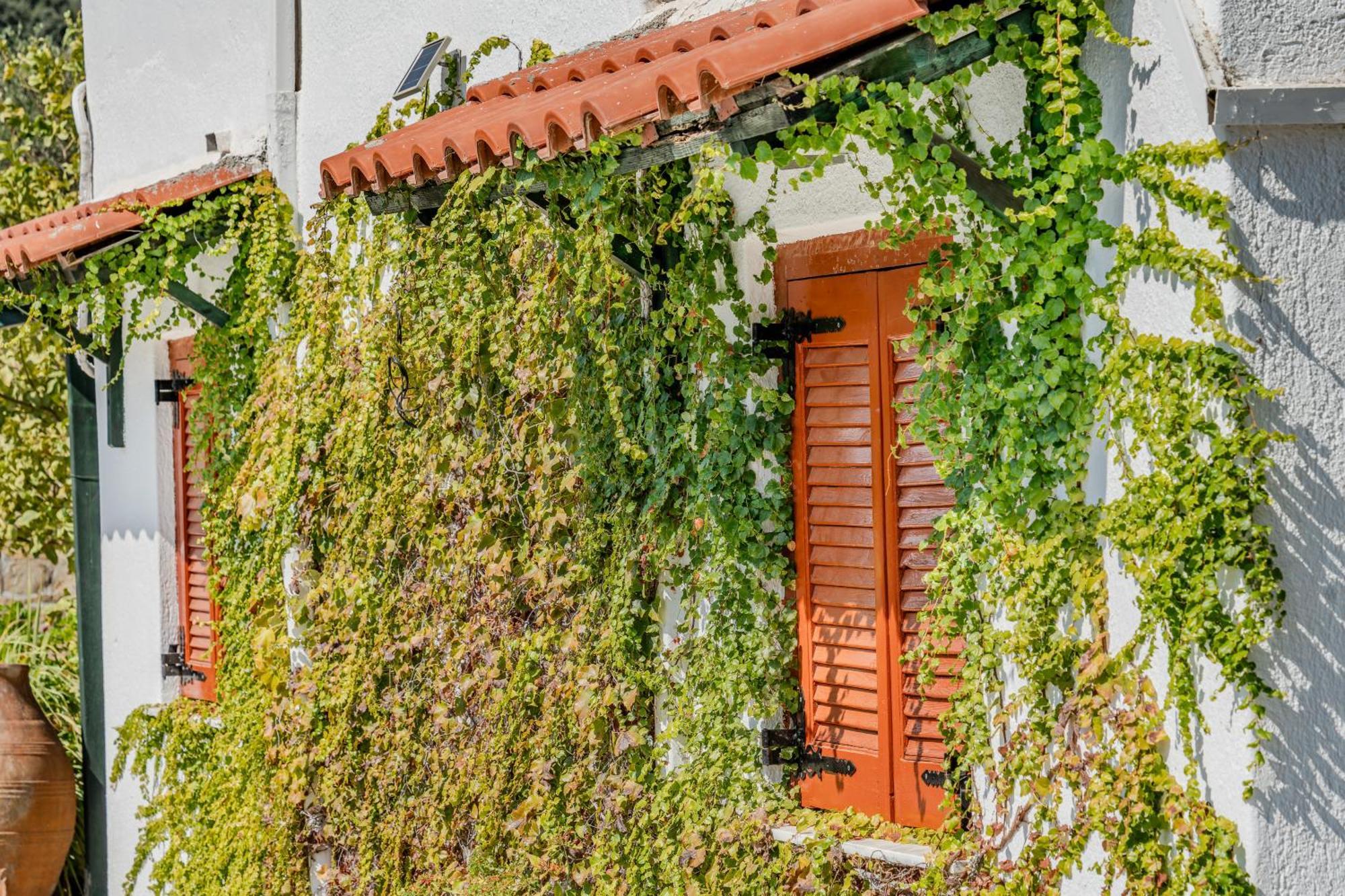Athina Villas Istron Buitenkant foto