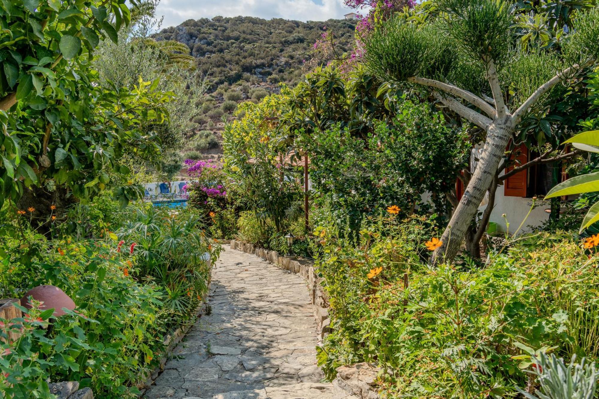 Athina Villas Istron Buitenkant foto