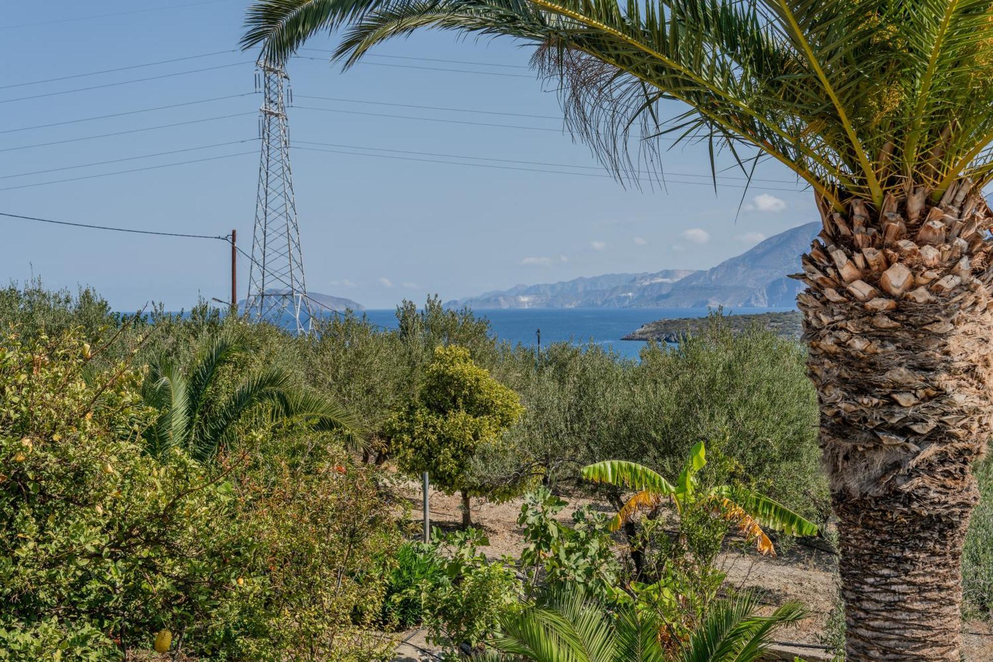 Athina Villas Istron Buitenkant foto