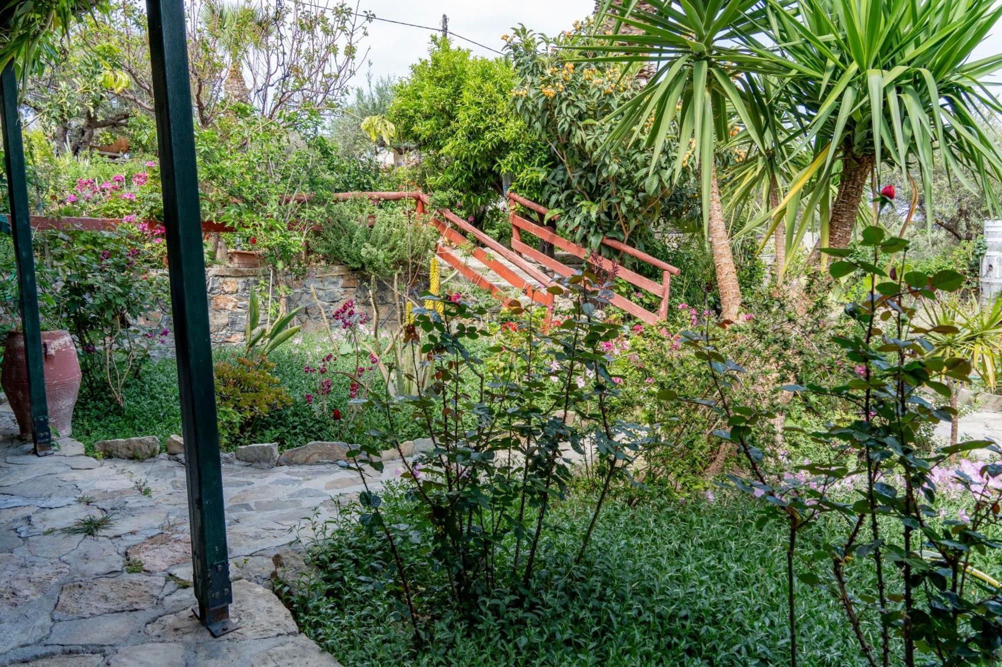 Athina Villas Istron Buitenkant foto